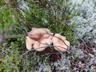 Similar image 21646715