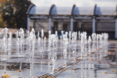 Similar image 21646736