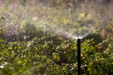 Similar image 21646769