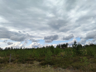 Similar image 21647260