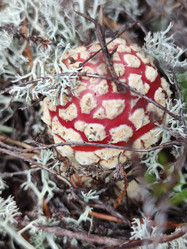 Similar image 21647263