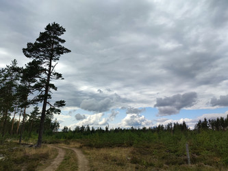 Similar image 21647264