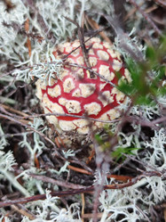 Similar image 21647265