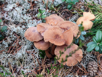 Similar image 21647267