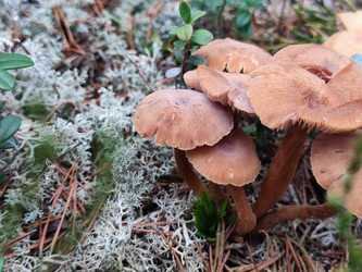 Similar image 21647269