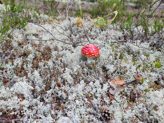 Similar image 21647271