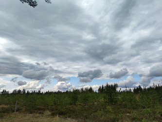 Similar image 21647272