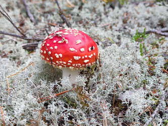 Similar image 21647273