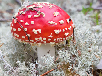 Similar image 21647275