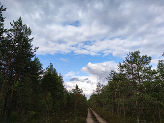 Similar image 21647276