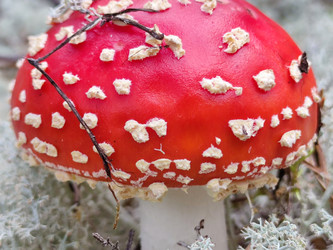 Similar image 21647277