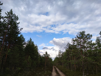 Similar image 21647278