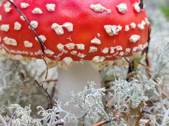 Similar image 21647279