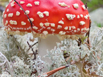 Similar image 21647281