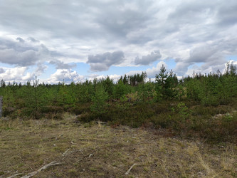 Similar image 21647282