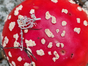 Similar image 21647090