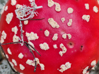 Similar image 21647283