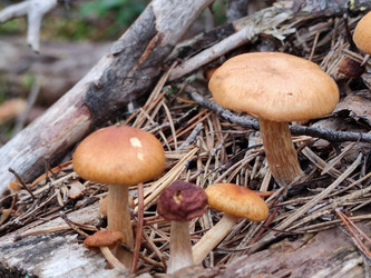 Similar image 21647286