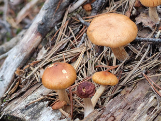 Similar image 21647288