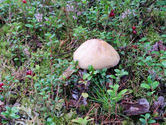 Similar image 21647290