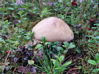 Similar image 21647094