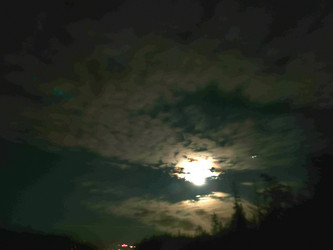 Similar image 21647292