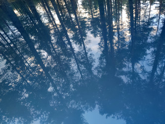 Similar image 21647295