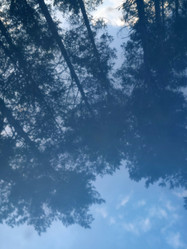 Similar image 21647298