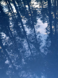 Similar image 21647299