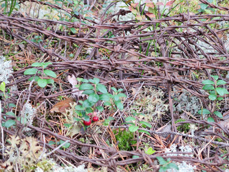 Similar image 21647301