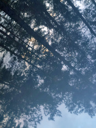 Similar image 21647302