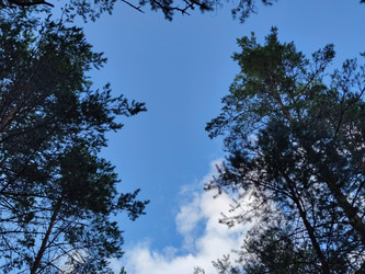 Similar image 21647305