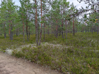 Similar image 21647307