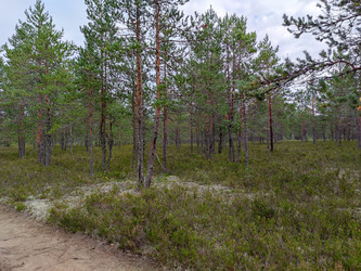 Similar image 21647309