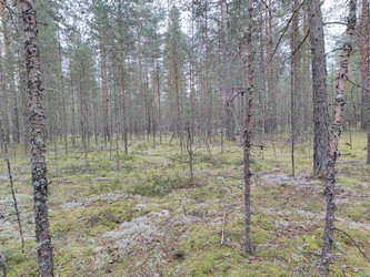 Similar image 21647312