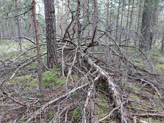 Similar image 21647320