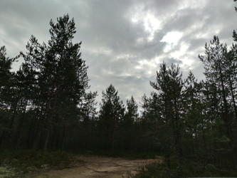 Similar image 21647328