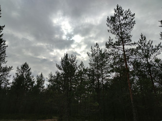 Similar image 21647330