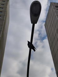 Similar image 21647331