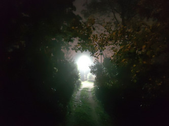 Similar image 21647333