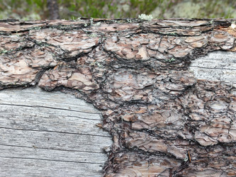 Similar image 21647341