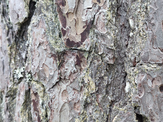 Similar image 21647342