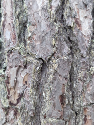 Similar image 21647343