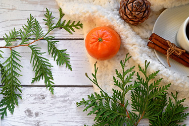 Similar image 21647039