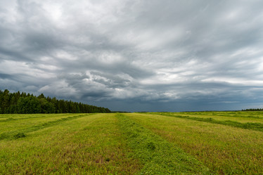 Similar image 21646748