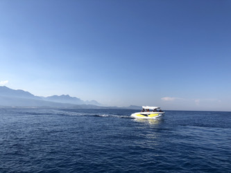 Similar image 21655714