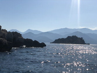 Similar image 21655748