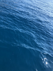 Similar image 21655750