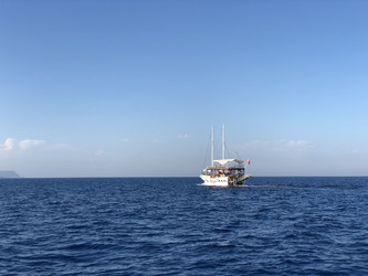 Similar image 21656291