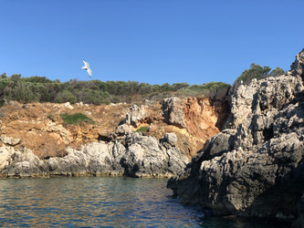 Similar image 21656292